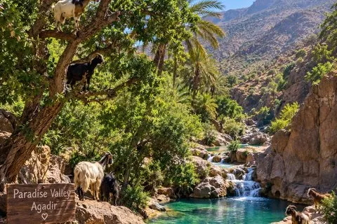Paradise Valley tour & Goats on Argan Trees Package from Agadir