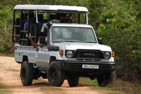 Yala Safari Tour en LAND CRUISER - Expérience privée de la faune | voooya
